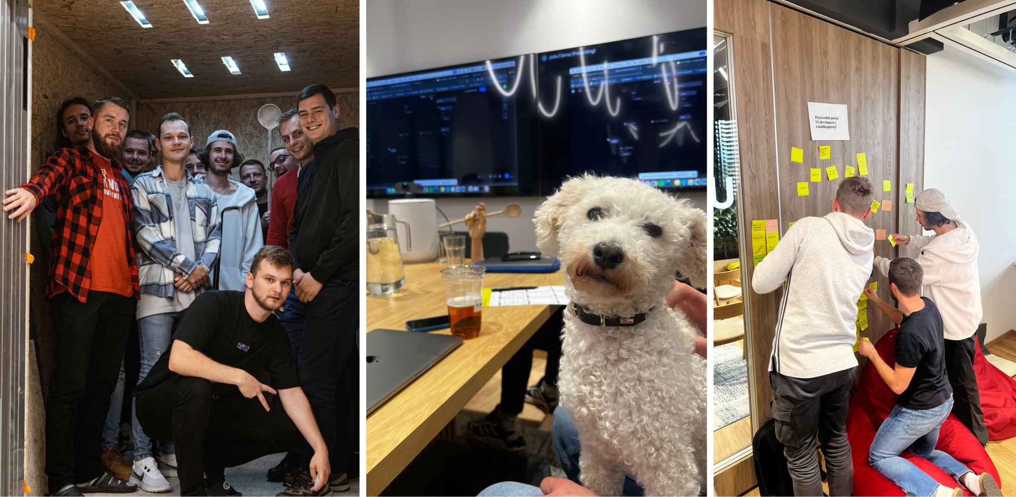 Koláž vytvorená z troch fotografií - na prvej sú viacerí ľudia v drevenej miestnosti, na druhej pes v konferenčnej miestnosti, na tretej sú tri osoby lepaice papierky na stenu.