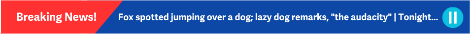 Bežiaci pás s titulkom „Breaking News! Fox spotted jumping over a dog; lazy dog remarks, 'the audacity' | Tonight...“; slúži ako ukážka dynamického zobrazovania správ.